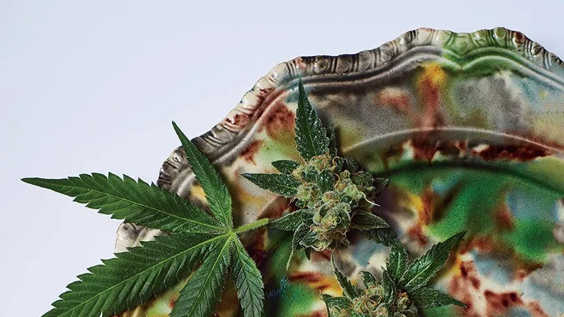 soko cannabis thc marijuana delta 8