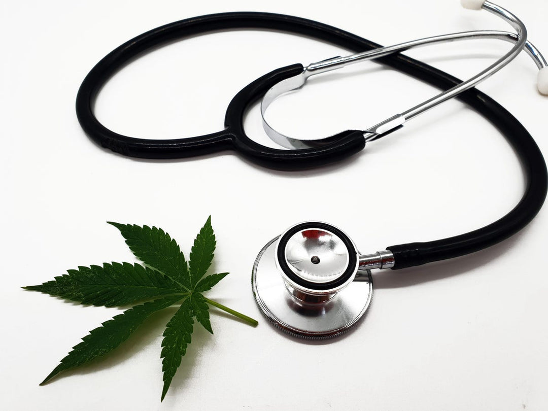soko cannabis