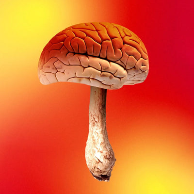the psychological experiences associated with magic mushrooms (psilocybin) and their potential benefits involves an exploration into subjective experiences and scientific research