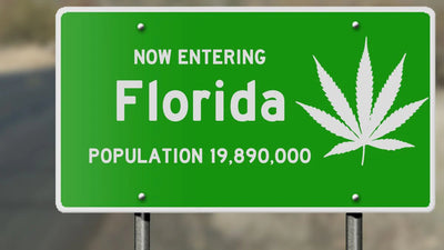 Marijuana Legalization in Florida? This Week in Cannabis Investing