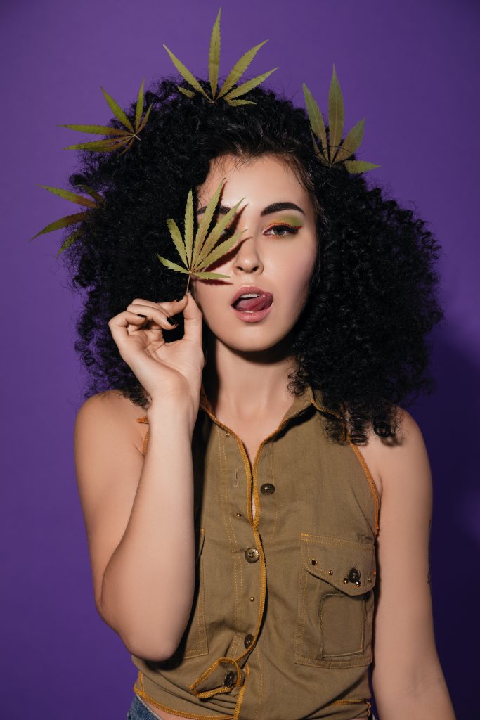 soko cannabis