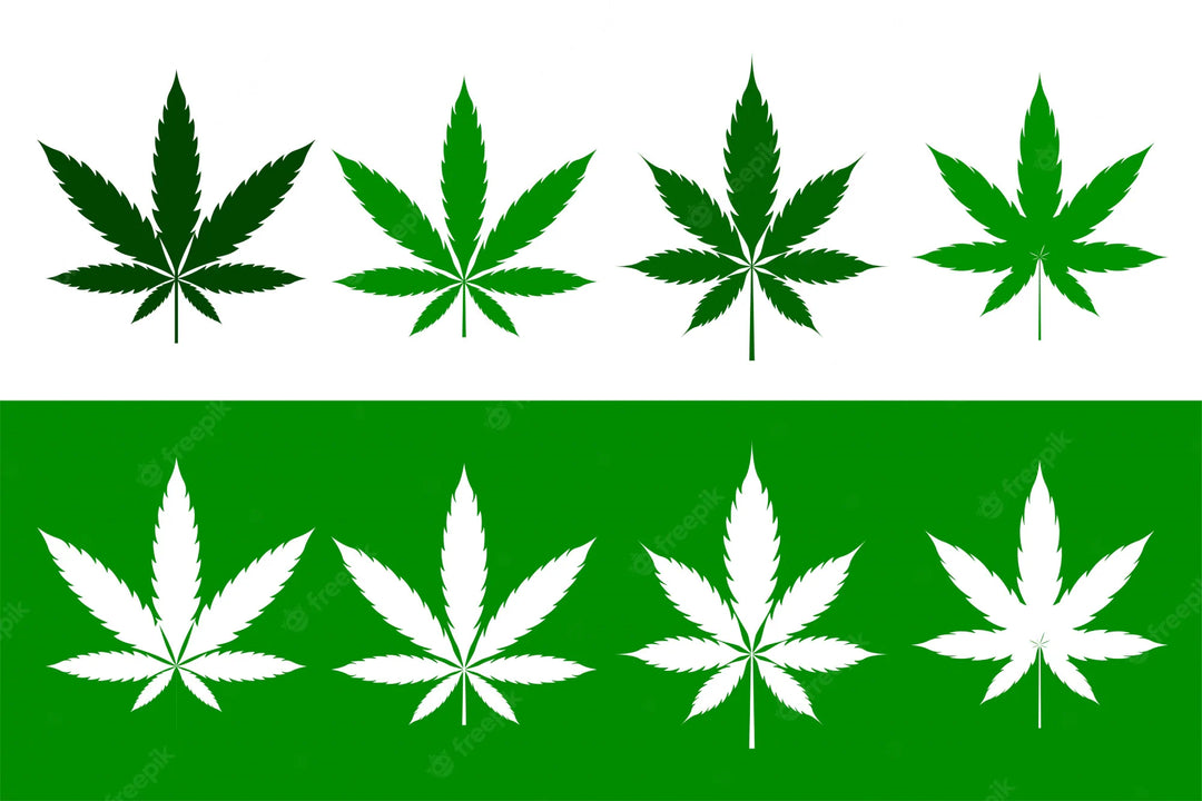 soko cannabis