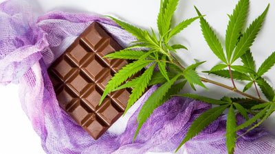Why You Will Love Cannabis-Infused Chocolates