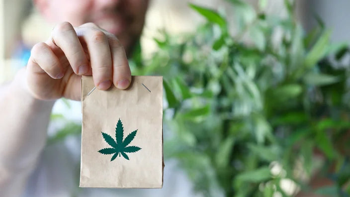 soko cannabis