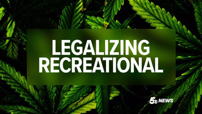 Detroit awards first 33 recreational marijuana retail licenses after court ruling