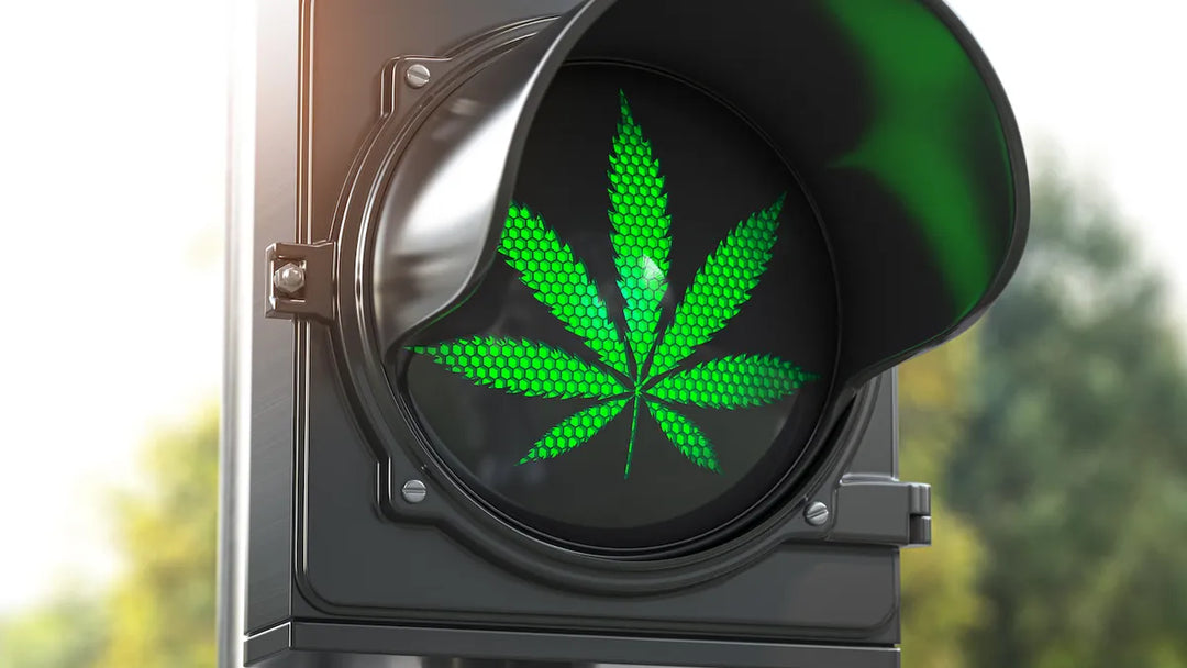 soko cannabis delta 8 thc 