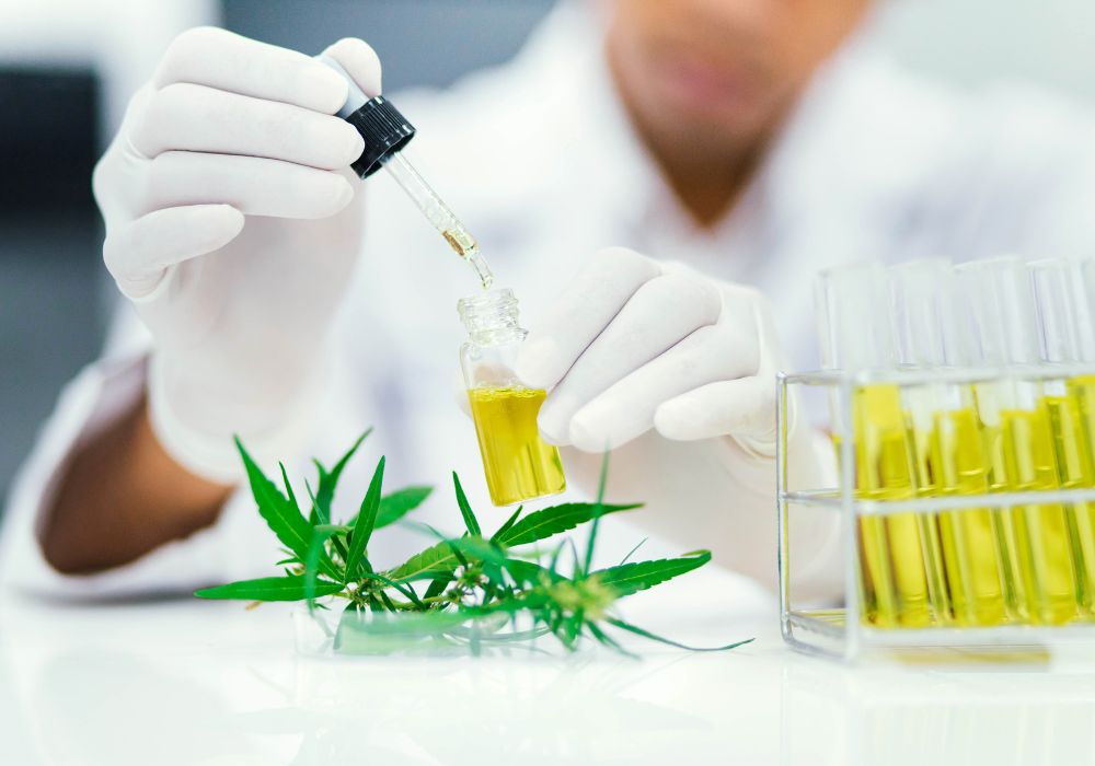 Delta 8 cannabis 