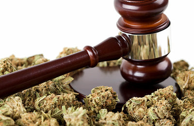 Feds push states to label cannabis products with DUI warnings