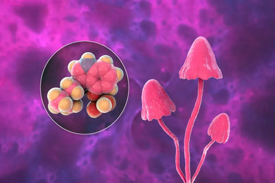 Psychedelic startups are betting on synthetic versions of psilocybin "magic" mushrooms as the future
