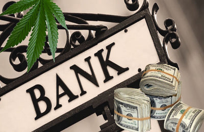 Cannabis Banking A Potential Impact On The Marijuana Industry