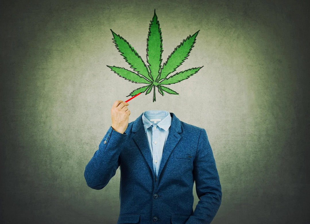 soko cannabis
