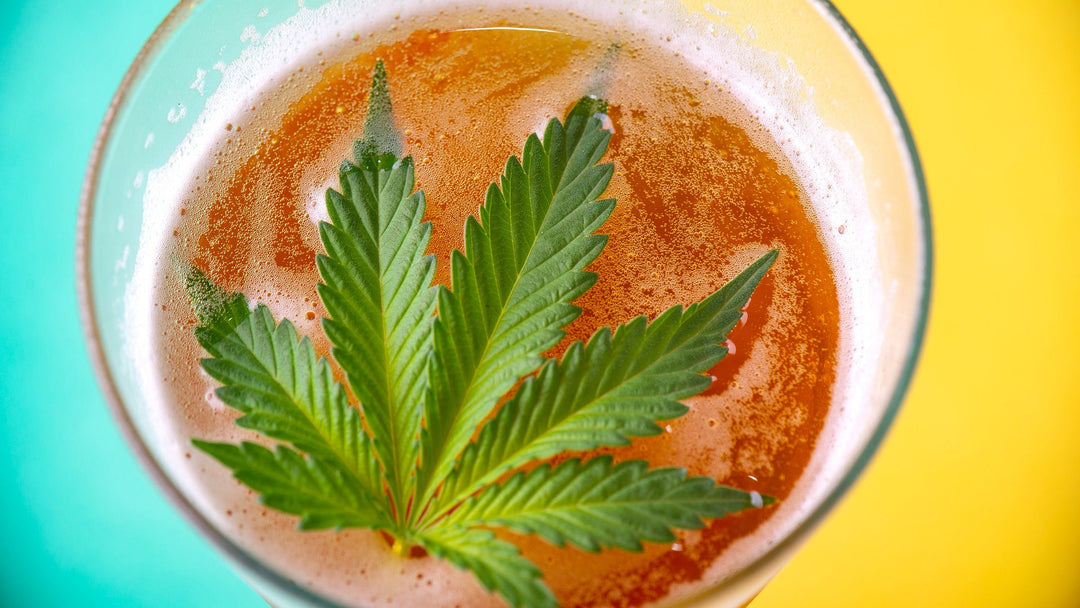 soko cannabis