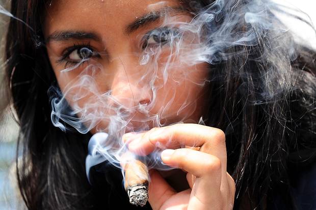 soko cannabis