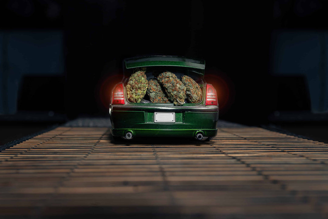 soko cannabis