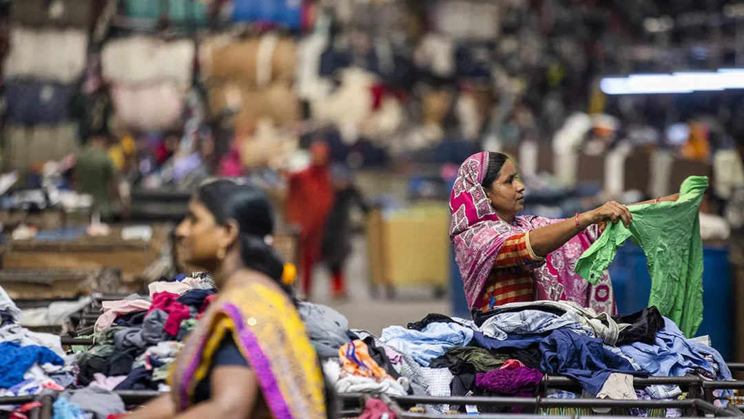 sweatshop fashion