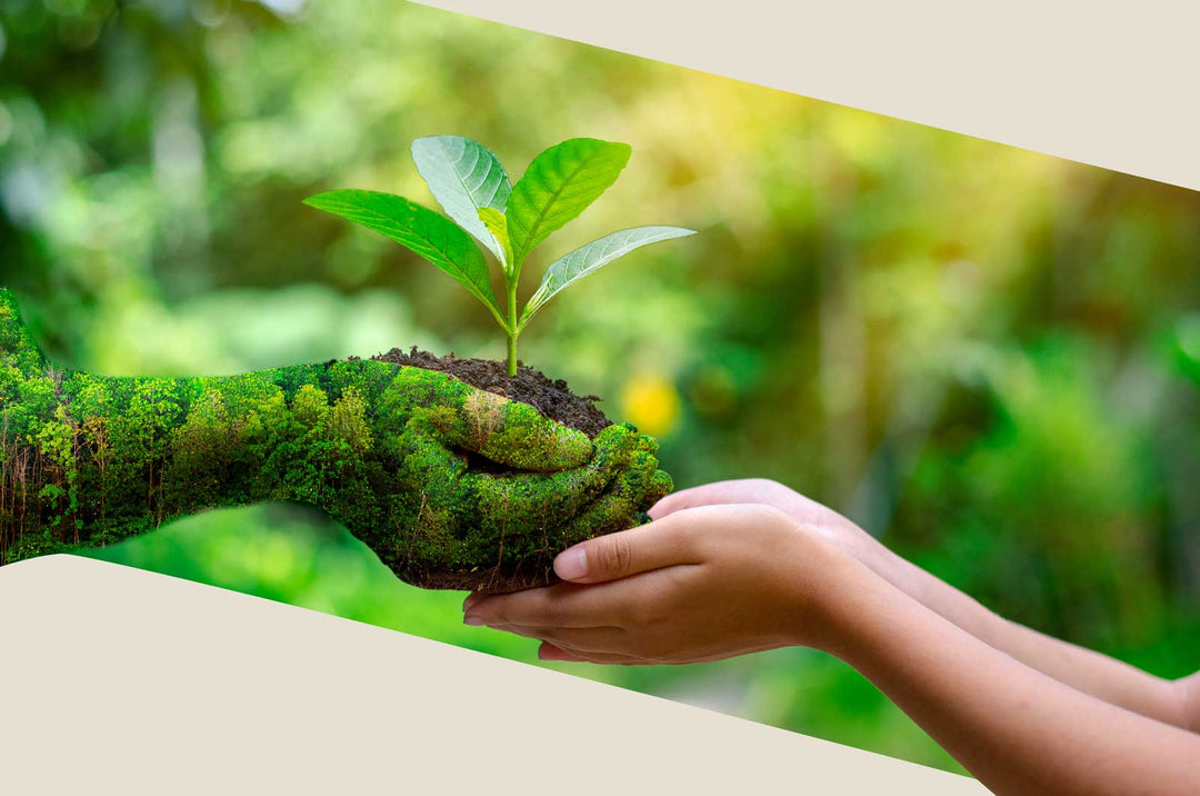 eco fashion soko cannabis