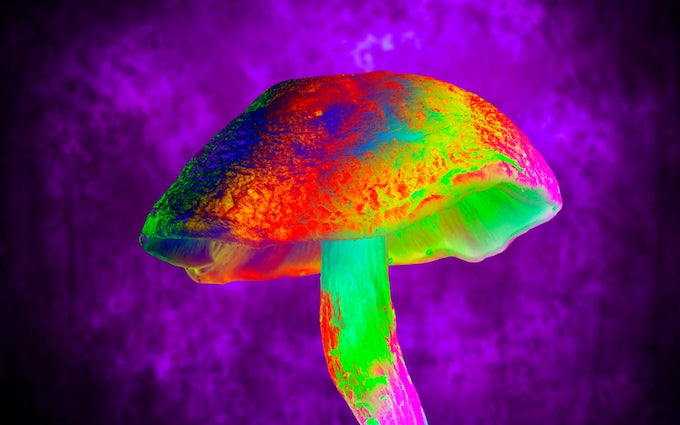 soko magic mushrooms 