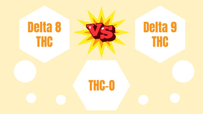 THC-O vs. Delta-8 vs. Delta-9 THC: What Are the Differences?