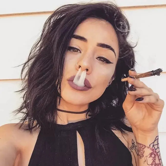 soko cannabis