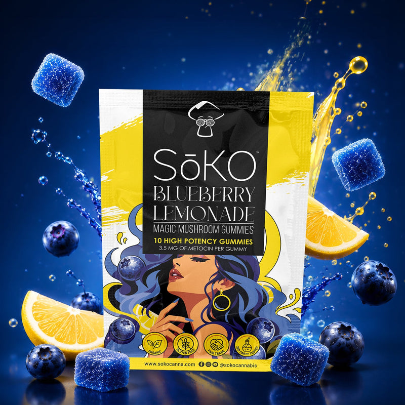 Soko Blueberry Lemonade gummy package with blueberries, lemon slices, and gummy candies on a dark blue background.