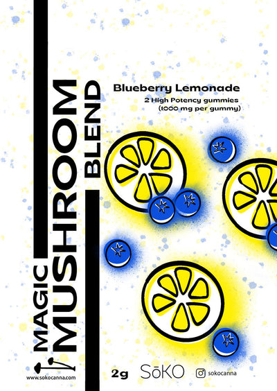 Blueberry Lemonade Gummies